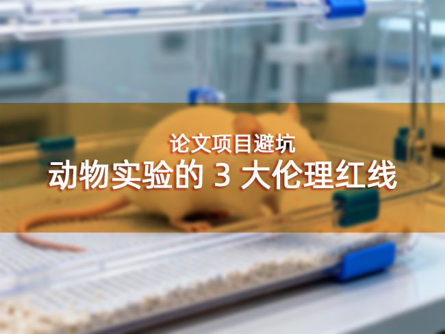 论文项目避坑：动物实验的3大伦理红线