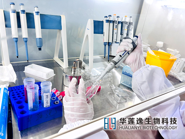 转染效率低不是试剂的锅：90%的失败是这两个参数设错了