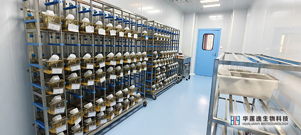 海南华莲逸SPF级动物实验平台