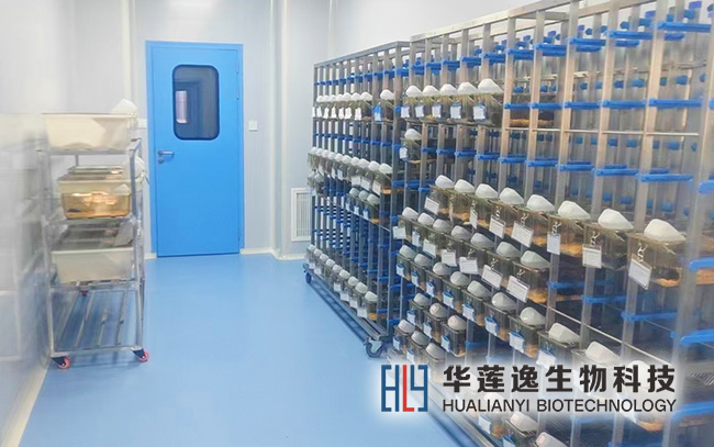 SPF 级动物实验室