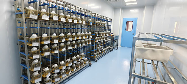 海南动物实验科技服务平台SPF级动物实验室