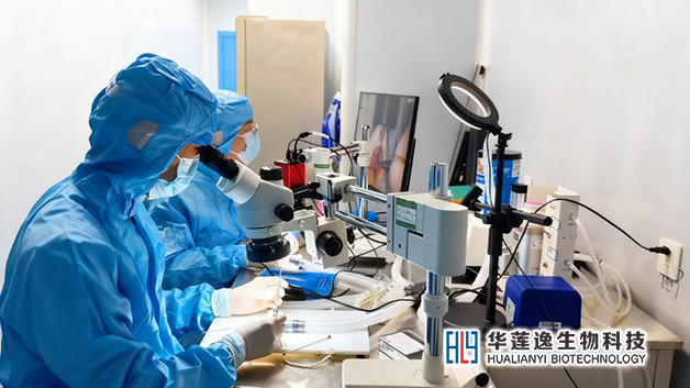 海南动物实验模型构建 海南动物实验模型构建