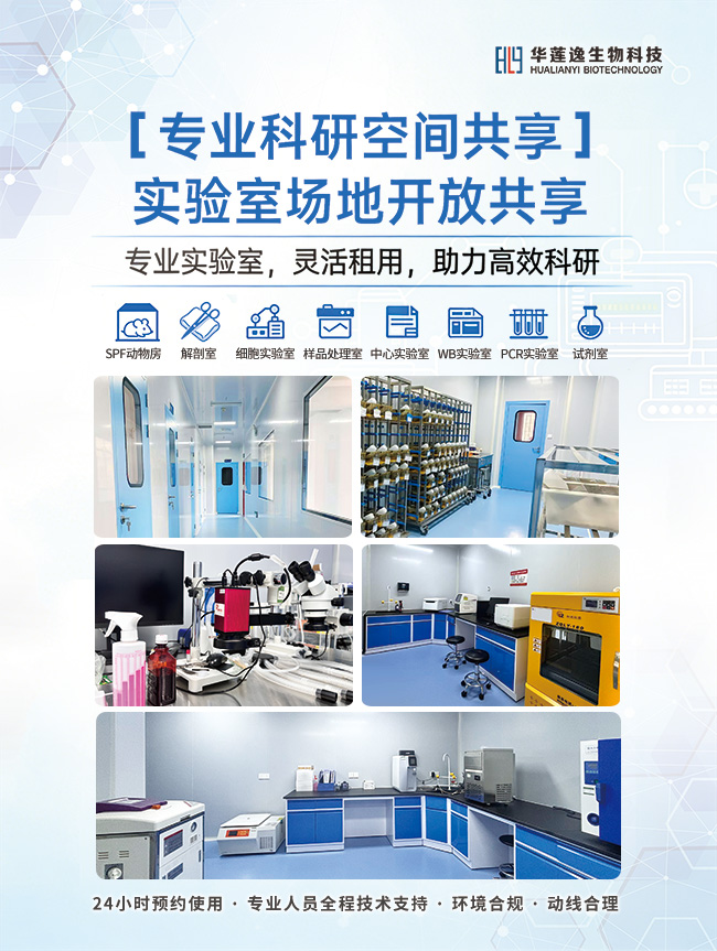 华莲逸生物实验室场地开放共享 华莲逸生物实验室场地开放共享