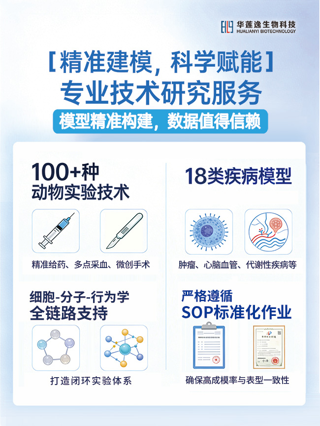 海南动物实验科研服务 海南动物实验科研服务