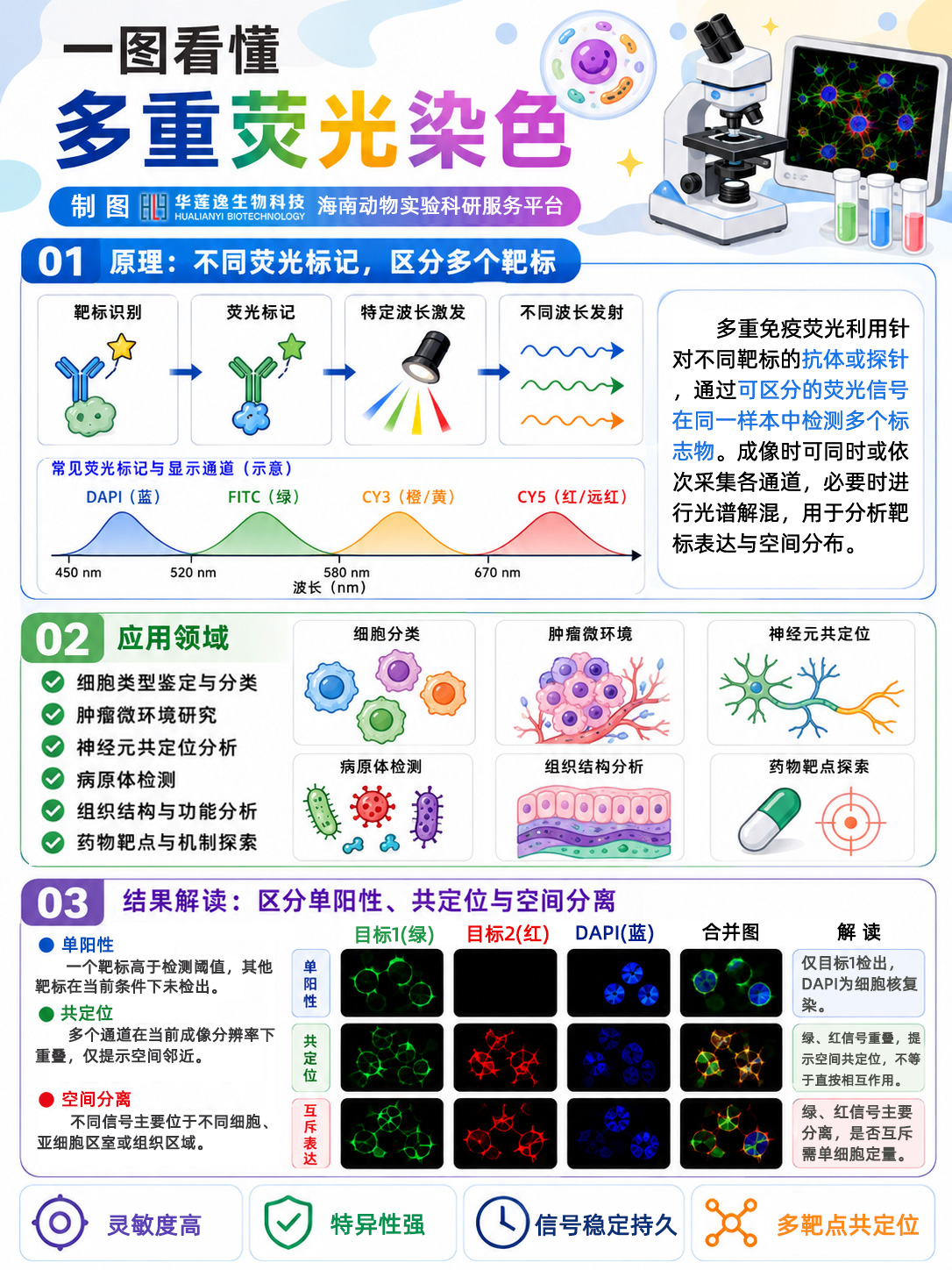 未标题-4.jpg